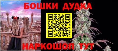 гашик Канаш