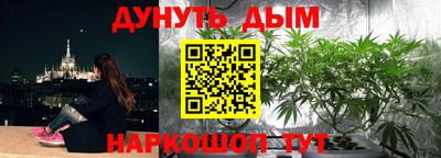гашик Канаш
