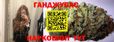 сатива Камышлов