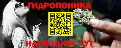 гашик Канаш