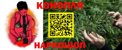 гашик Канаш