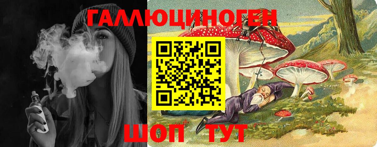 Кызыл  Галлюциногенные грибы GOLDEN TEACHER  Вход с VPN 
