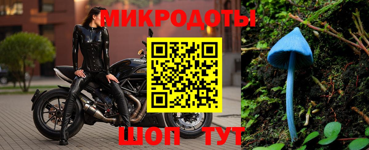 Псилоцибиновые грибы GOLDEN TEACHER Кызыл