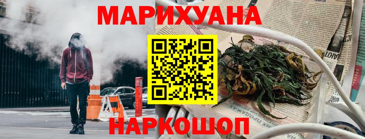 Бошки Шишки конопля Кызыл